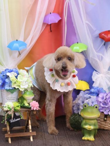 20230603こたろうくん